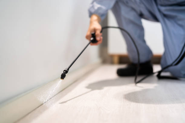Licensed Pest Control service in Corvallis, OR - Show Me Pest Control