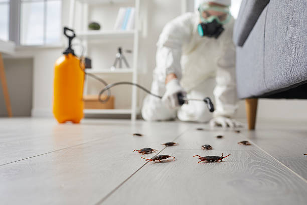 Commercial Rodent Management in Corvallis